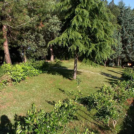 9652b Apartman